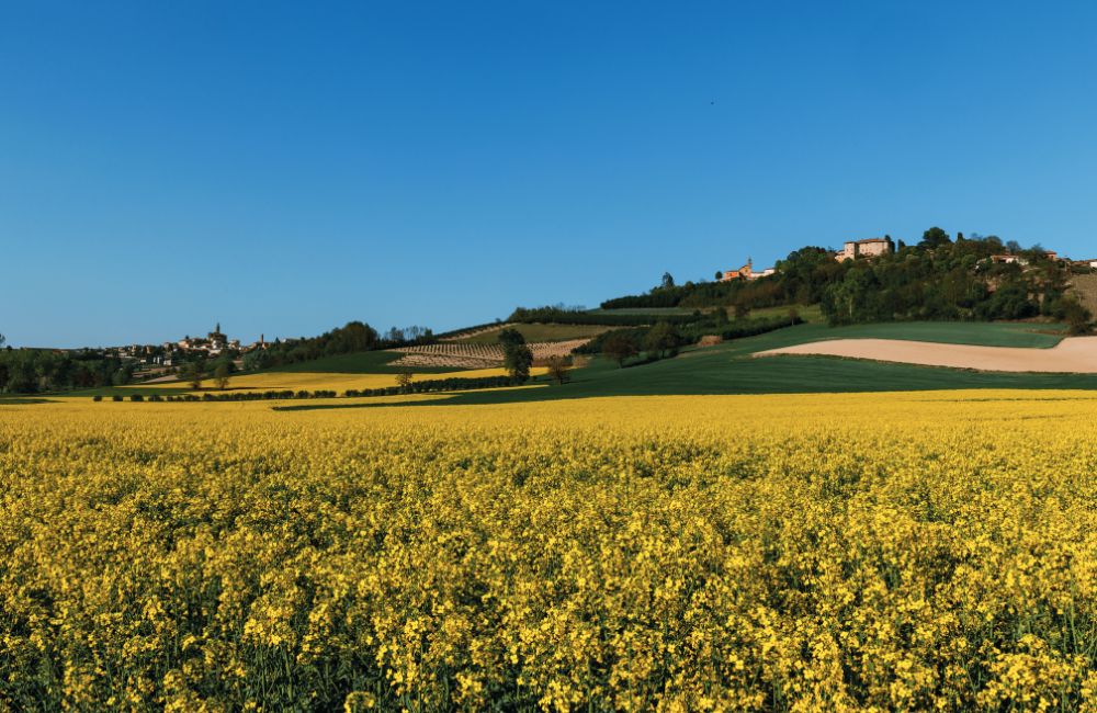 Monferrato sempre più chic