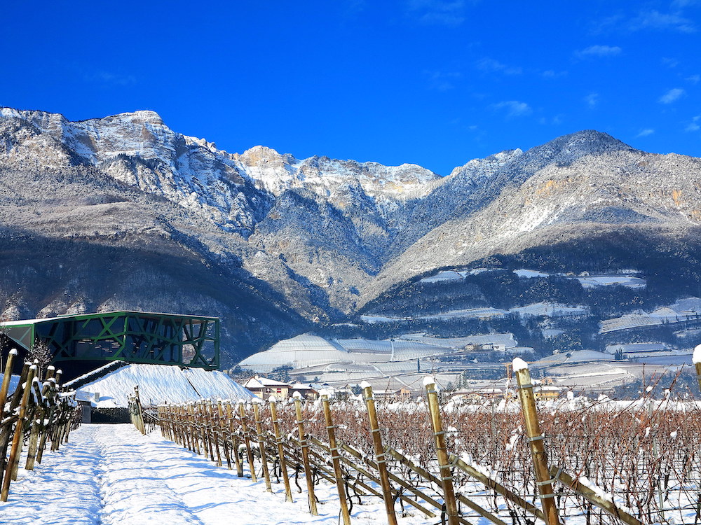 Una veduta invernale della cantina Tramin a Termeno (BZ).